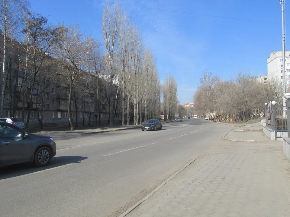 Фото Елены Федяшевой