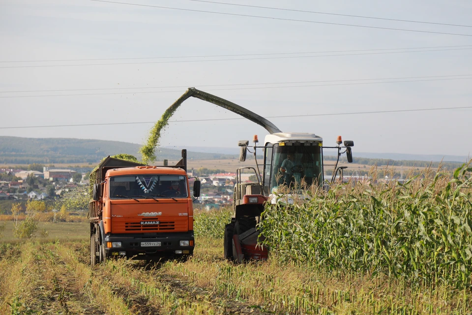Нижегородские аграрии перевыполнили план по сбору зерна на 20%.