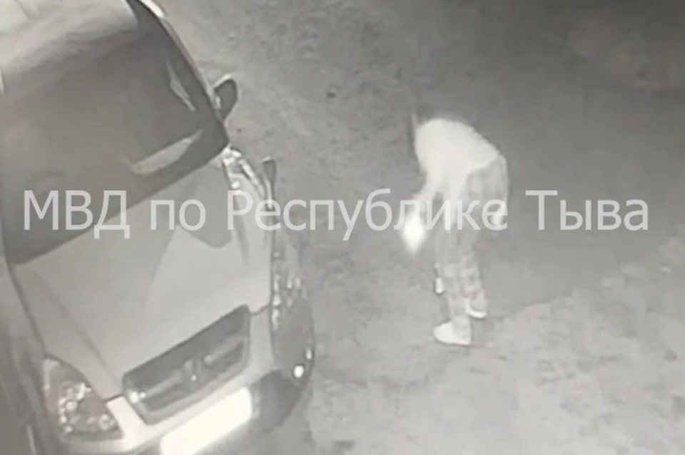 Скриншот: МВД по Республике Тыва