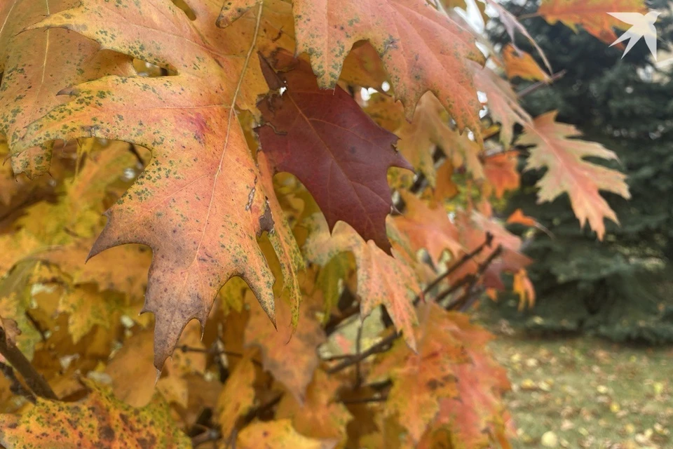 Собрали приметы и запреты на 23 октября, когда празднуют день Евлампия Зимоуказателя. Снимок носит иллюстративный характер. Фото: архив «КП»