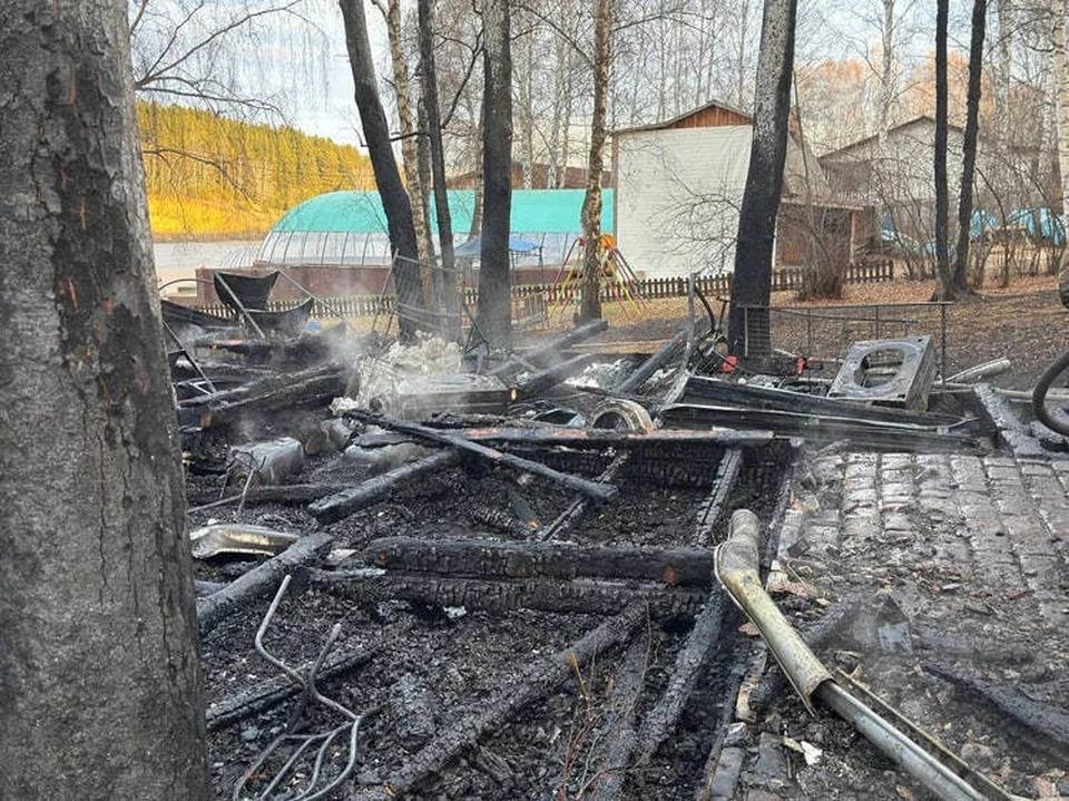 Фото: читатель «КП»-Красноярск