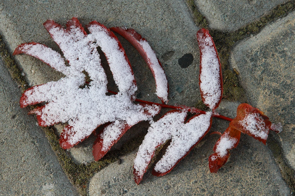 Участие в акции примут больше восьми тысяч человек