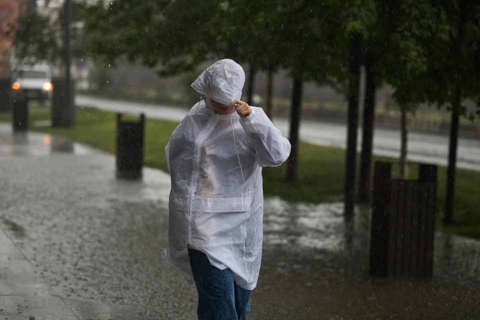 Во время стихии нельзя находиться рядом с деревьями, легкими конструкциями и вывесками