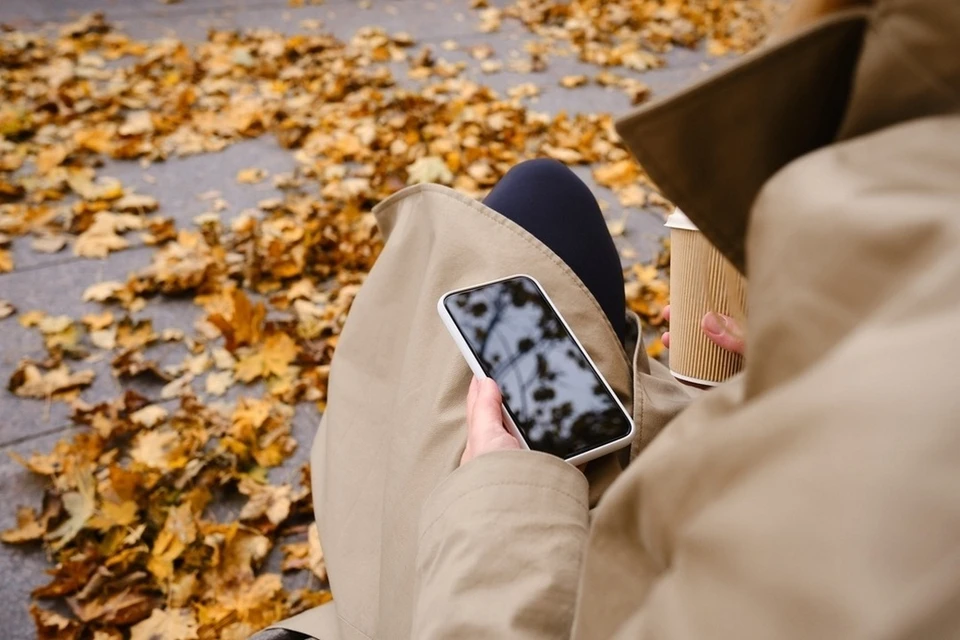 Парки Петербурга перевели на новые скорости интернета. Фото: shutterstock.com.