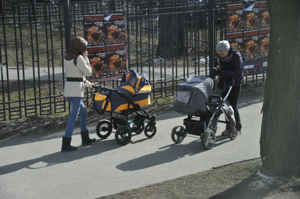 Президент Владимир Путин оценил нижегородские меры демографической поддержки.