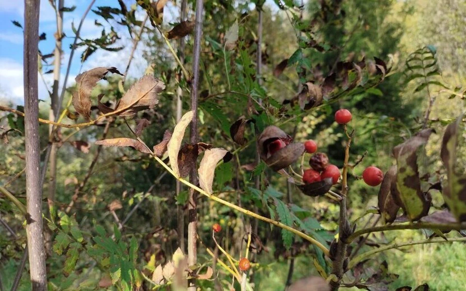 Хорошего дня! Фото: Таня Трушкова