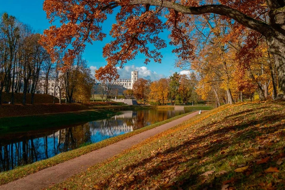 Скульптуры начали потихоньку помещать в деревянные ящики. Фото: ГМЗ «Гатчина»