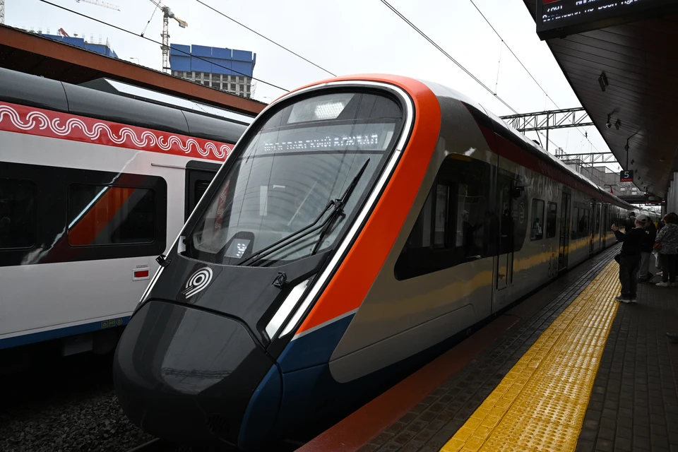 Пассажир погиб на станции «Царицыно» в Москве