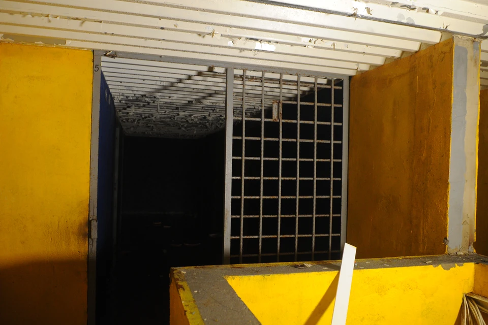 Фото: архив "КП".