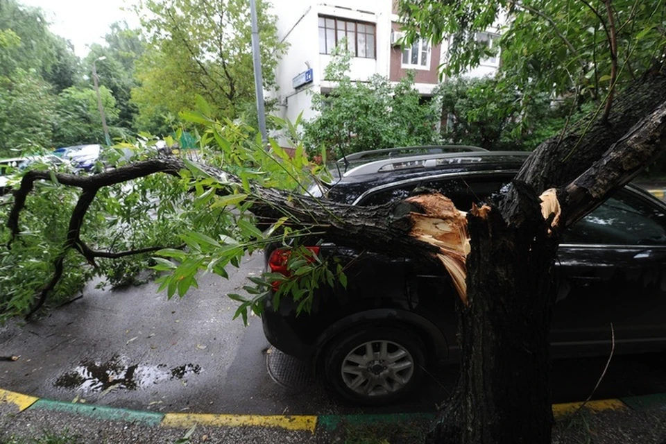 Сильный ветер с грозой и градом вероятен в регионе утром 25 октября