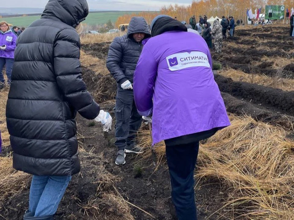 Фото: Ситиматик