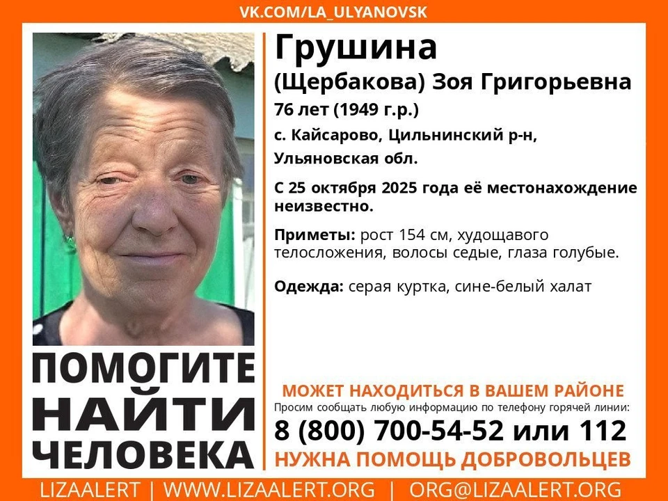 Фото: «ЛизаАлерт»