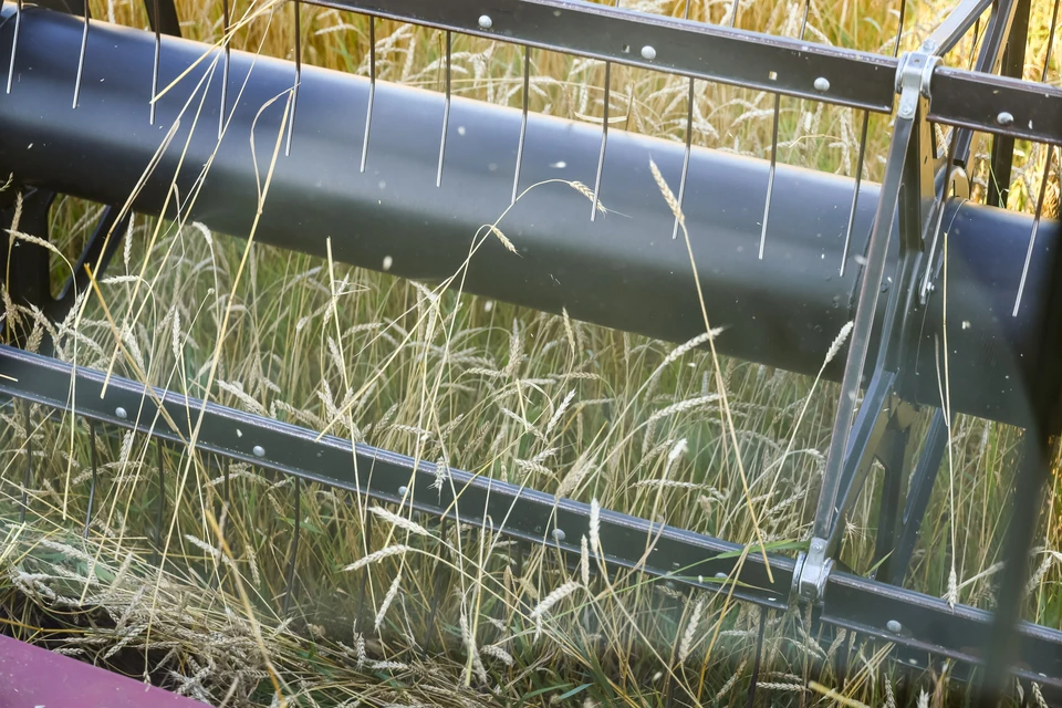 Фото: архив КП