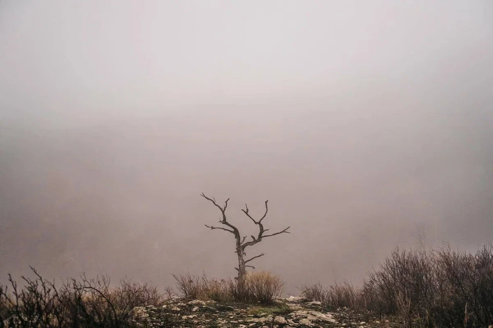 Опасное природное явление ожидается в ночные и утренние часы
