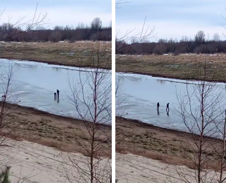 Фото: t.me/channel9528988888