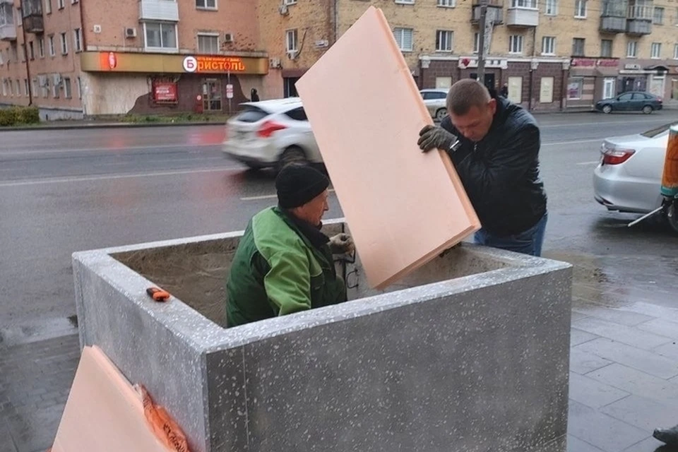 Вазоны с растениями. Фото: vk.com/d_a_chistyakov