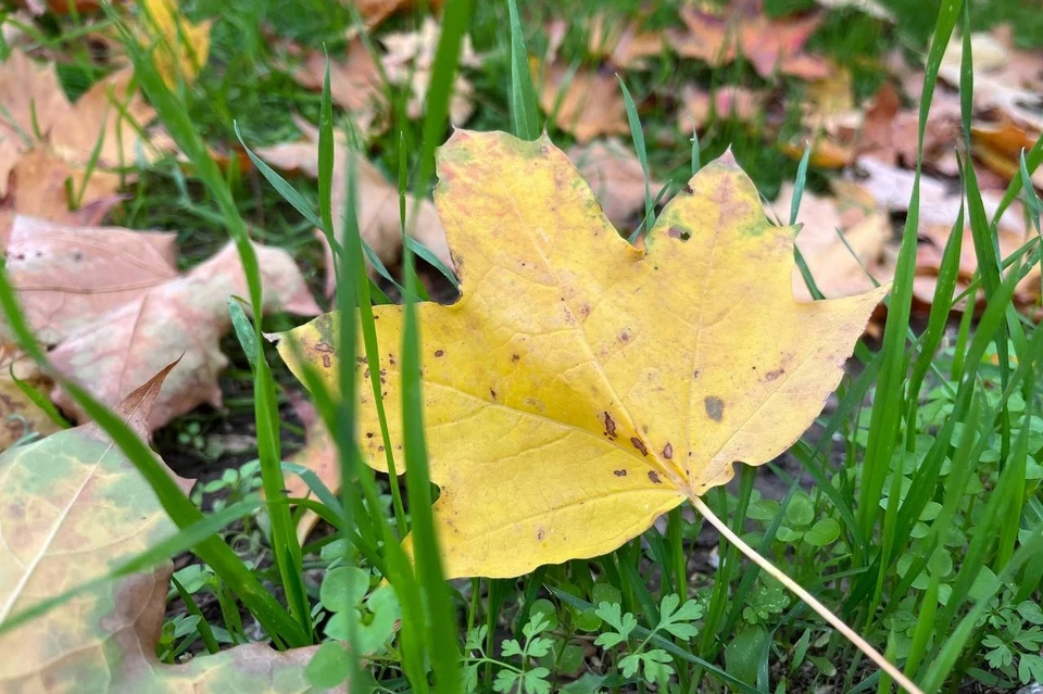 Фото: архив "КП"