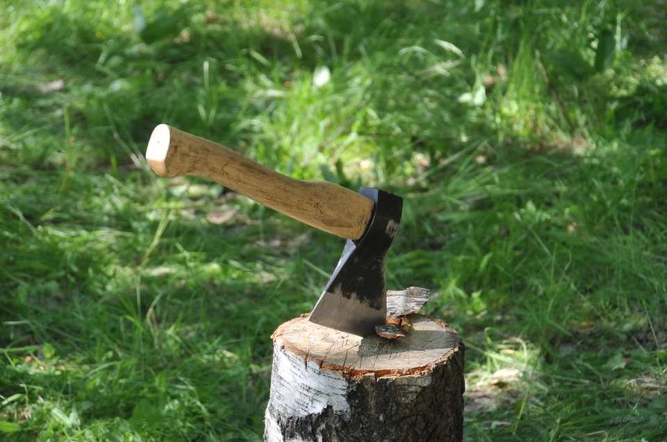 Орудием убийства стал топор
