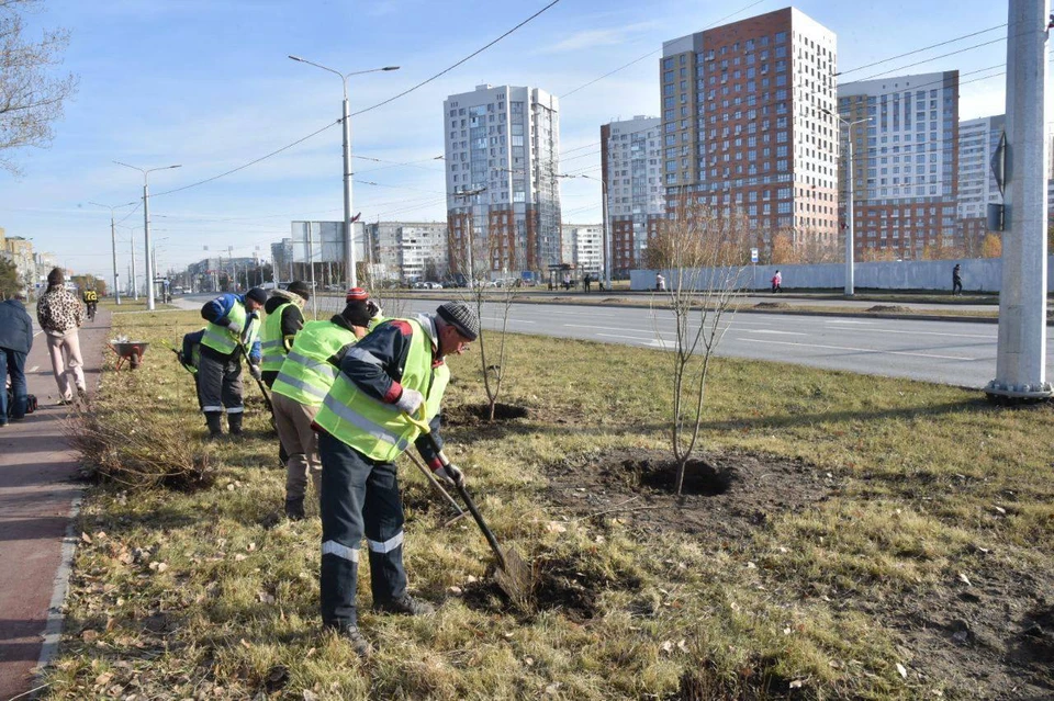 Фото: пресс-служба администрации Омска