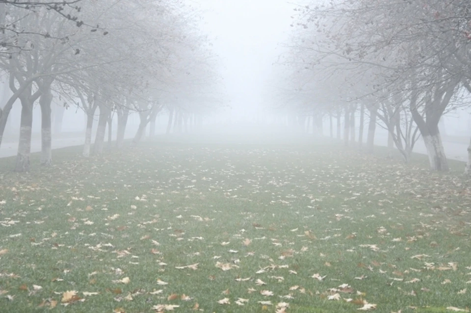 В понедельник жители Коми пообещали неблагоприятную погоду