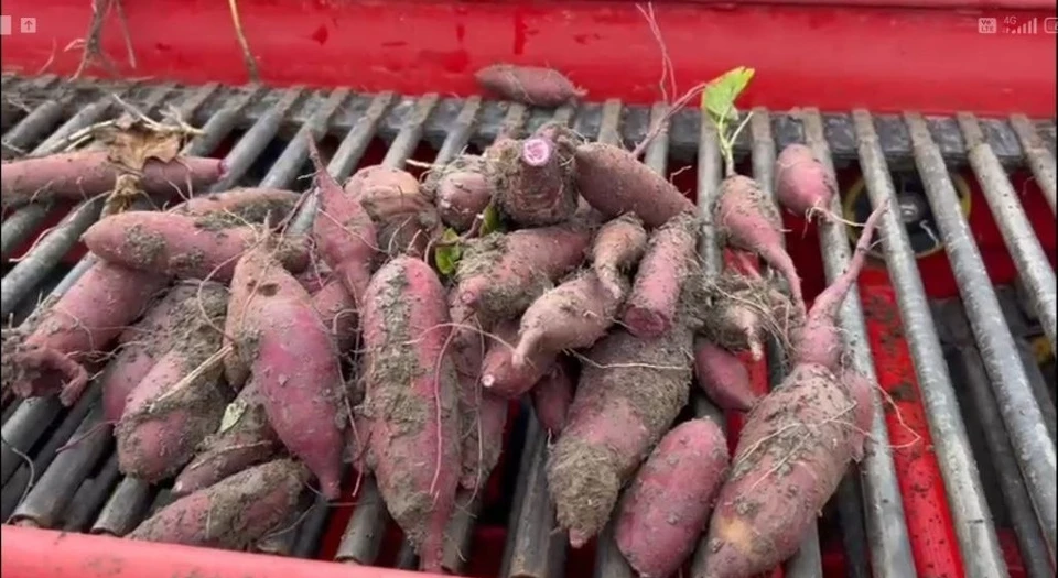 Фото: Минсельхоз Астраханской области