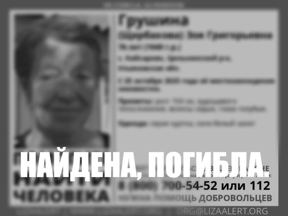 Ульяновские волонтеры нашли погибшей 76-летнюю пропавшую женщину | ФОТО: телеграм-канал ДПСО "ЛизаАлерт" Ульяновской области
