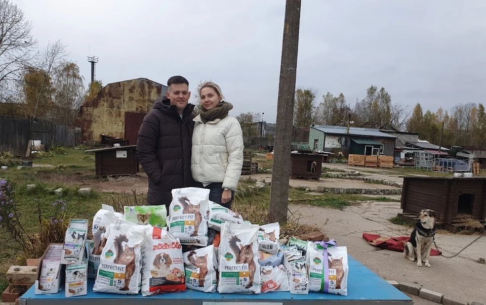 Фото: группа «Зоозащита. Приют "Лесопилка".Псков» в соцсети ВКонтакте.