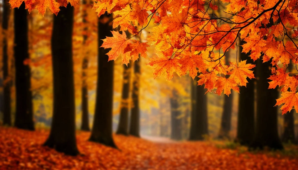 4 ноября празднуется День народного единства