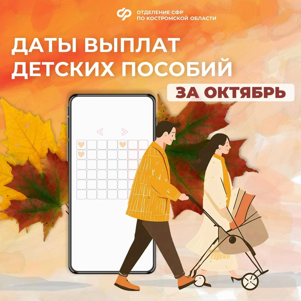 Фото: Отделение СФР по Костромской области