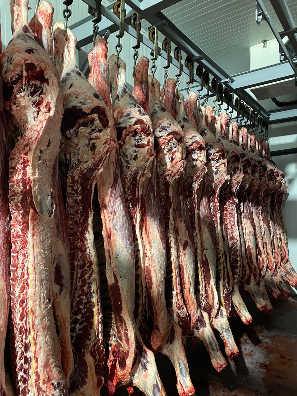 фото: Министерство внешних связей Астраханской области