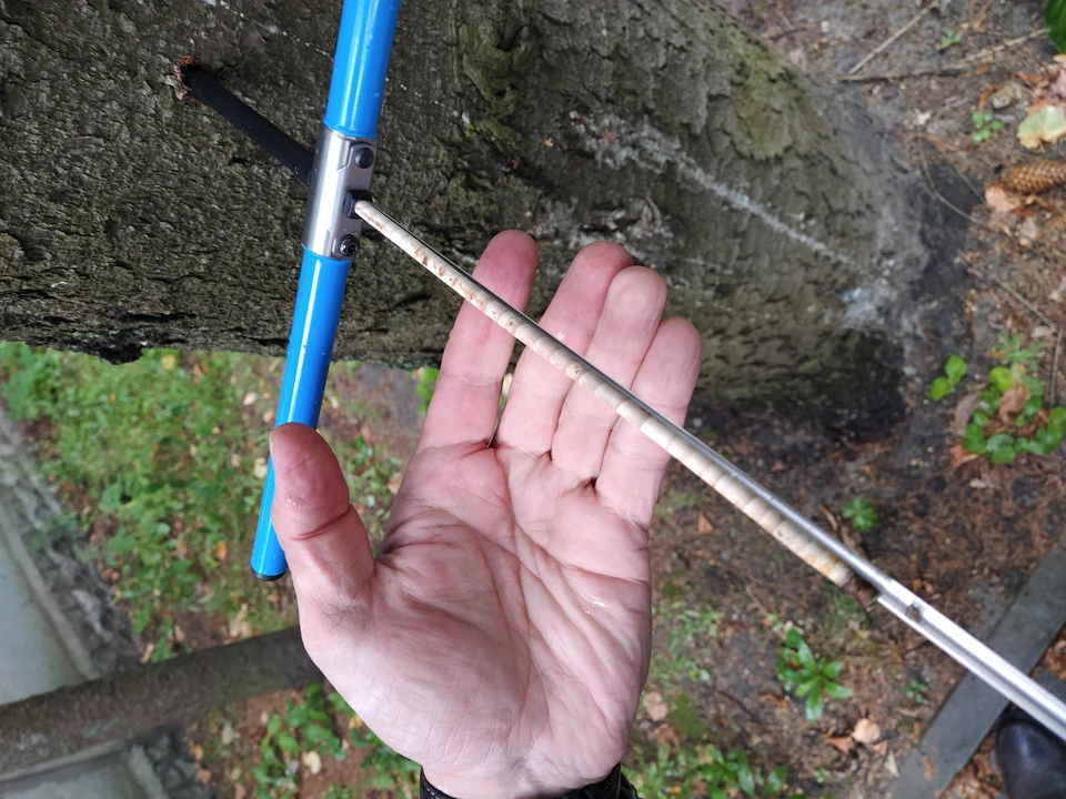 Фото: ФГБУ "ВНИИЗЖ".