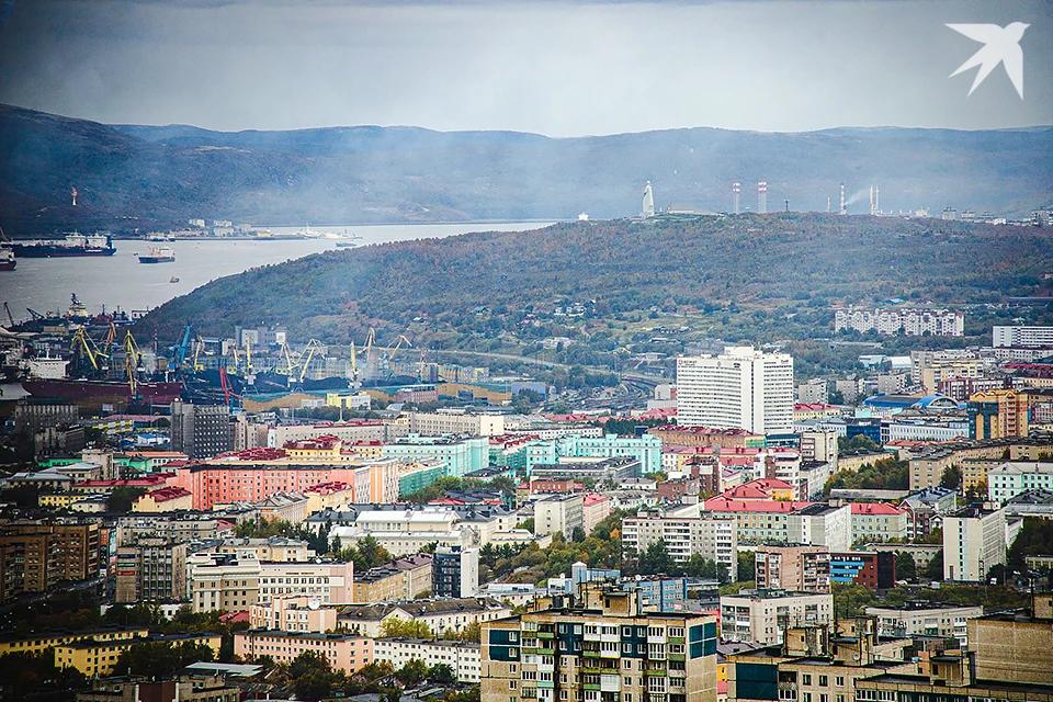 Для решения проблемы в 2025 году в Мурманской области откроется Центр компетенций по лекарственному обеспечению при минздраве.