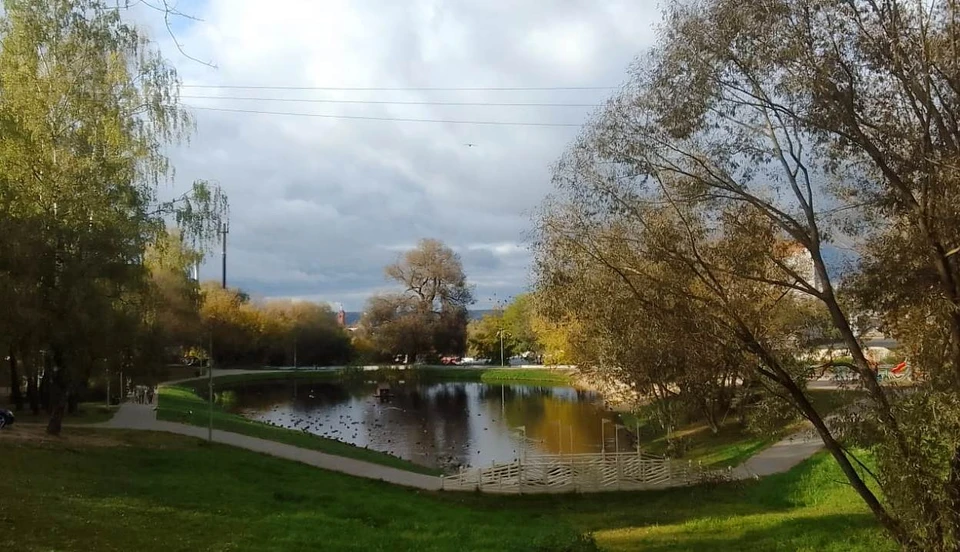 В Калужской области установилась дождливая погода.