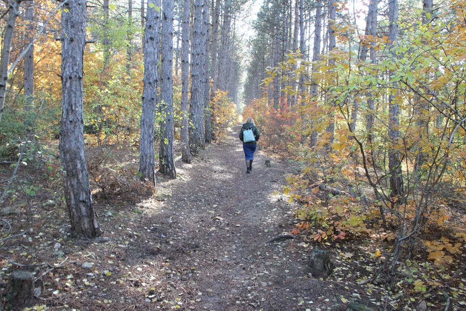 Крымская осень