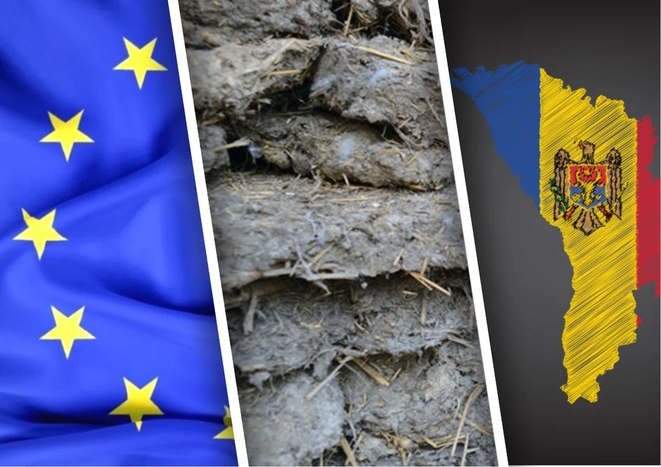 Жители сел Молдовы – страны-кандидата на вступление в ЕС, в 2025 году, заготавливают на зиму кизяк. Фото: коллаж КП