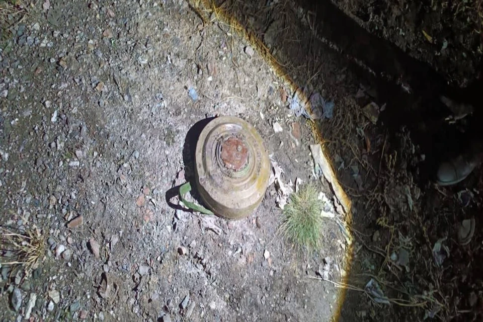В Новосибирской области тракторист нашел мину. Фото: управление Росгвардии по Новосибирской области