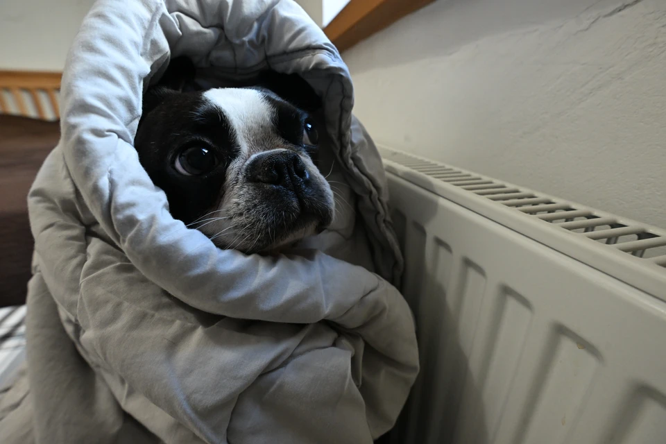 Отопление отключили, чтобы устранить аварию