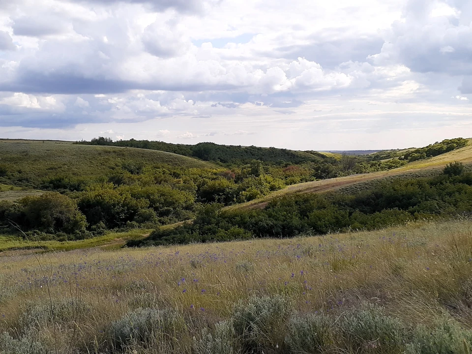 Фото: облкомприрода.