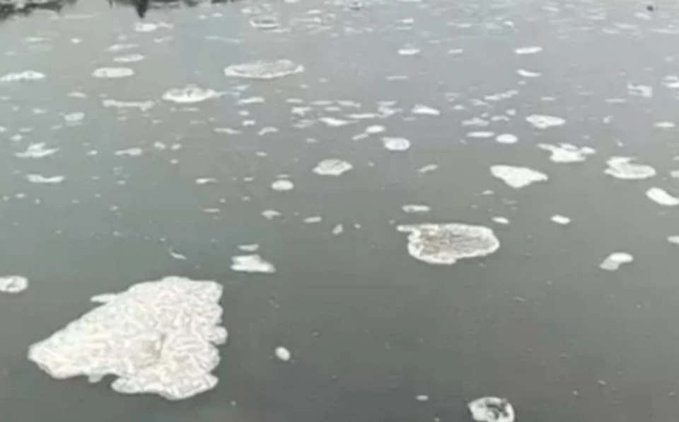 Материалы о загрязнении реки Юг переданы в федеральные органы. Фото: vk.com/operator43.