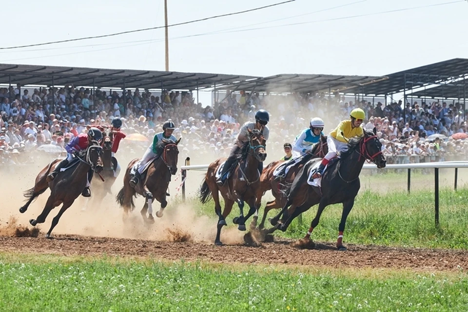 По словам автора петиции, без скачек бизнес хозяйств, которые разводят лошадей, может стать убыточным.