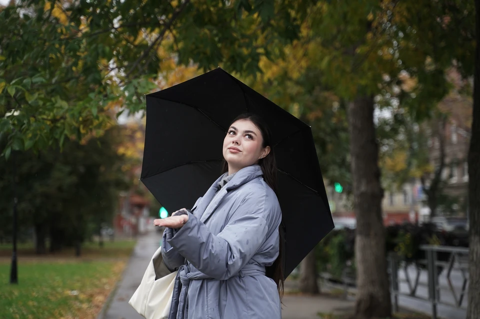 В середине недели в Ульяновске синоптики прогнозируют осадки
