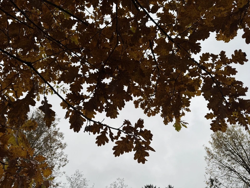 В Югре начинаются первые зимние холода: последнее тепло уходит до весны.