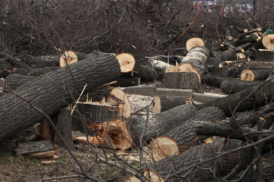 Работы планируют завершить в кратчайшие сроки.