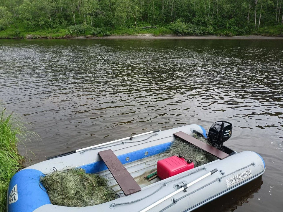 Специалисты напоминают, что охота на Кольском полуострове разрешается только при наличии официального разрешения на добычу охотничьих ресурсов. Фото: Правительство Мурманской области