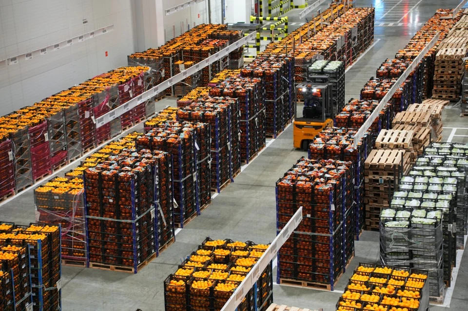 Доходы бюджета Кубани выросли на 6,5% за счет потребительского сектора. Фото: пресс-служба администрации Кубани