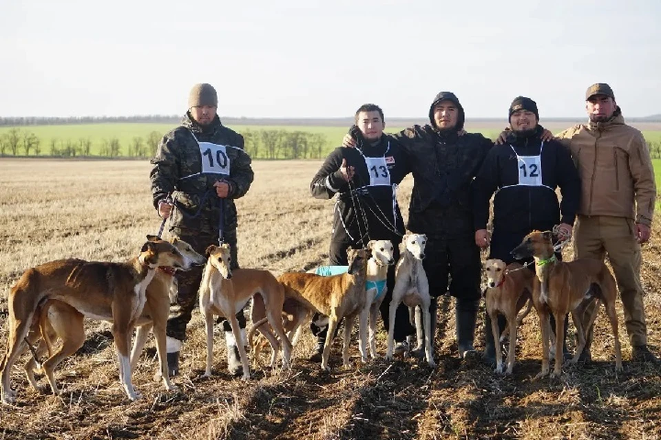В состязаниях участвовали 103 собаки четырех пород. Фото: минприроды СК