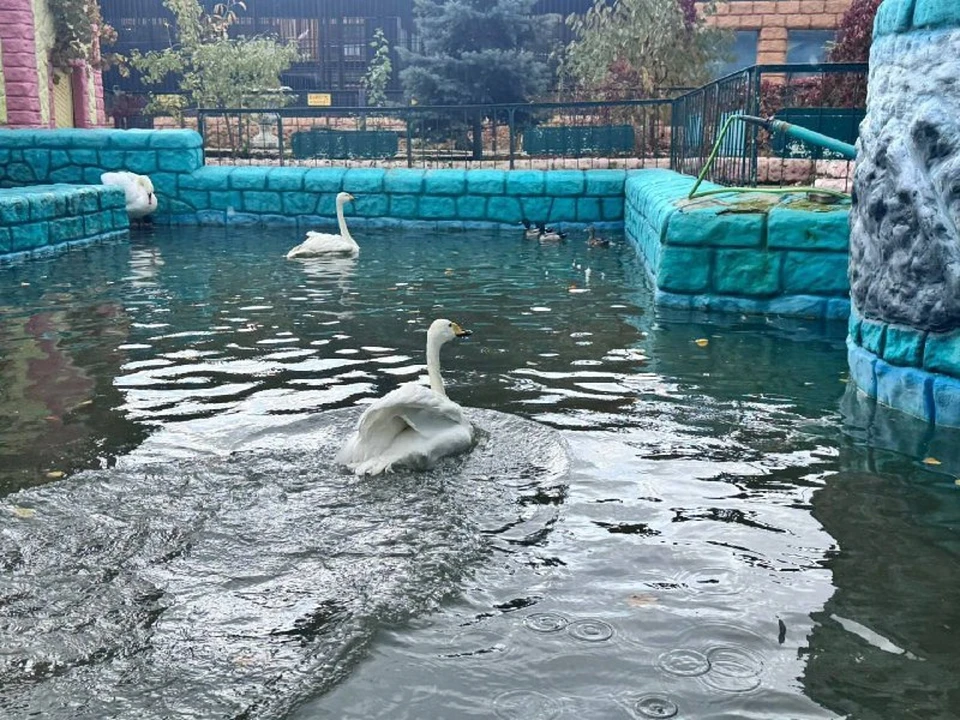 Фото: администрация Ставрополя