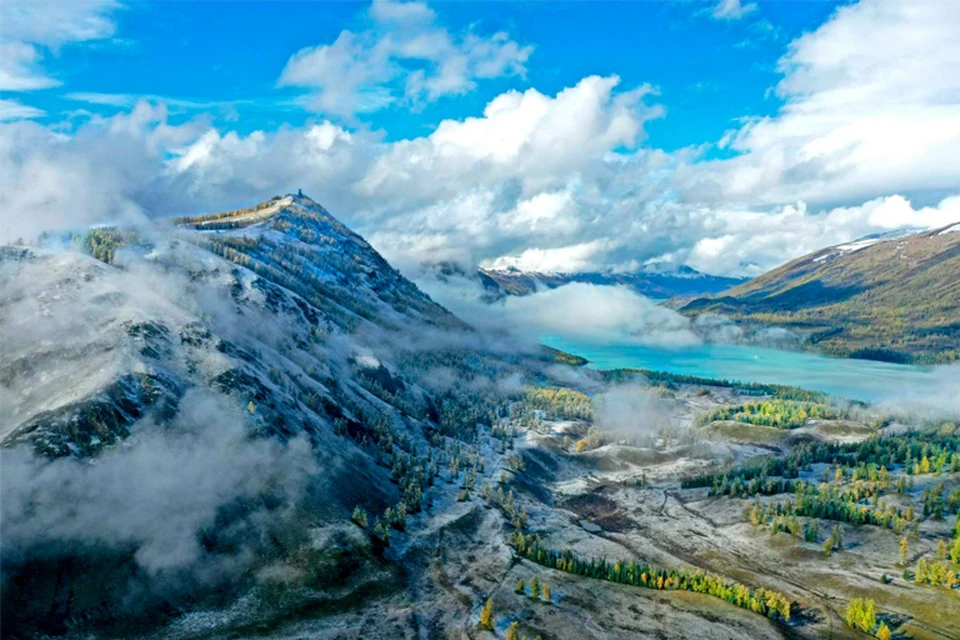 Представлено партнером