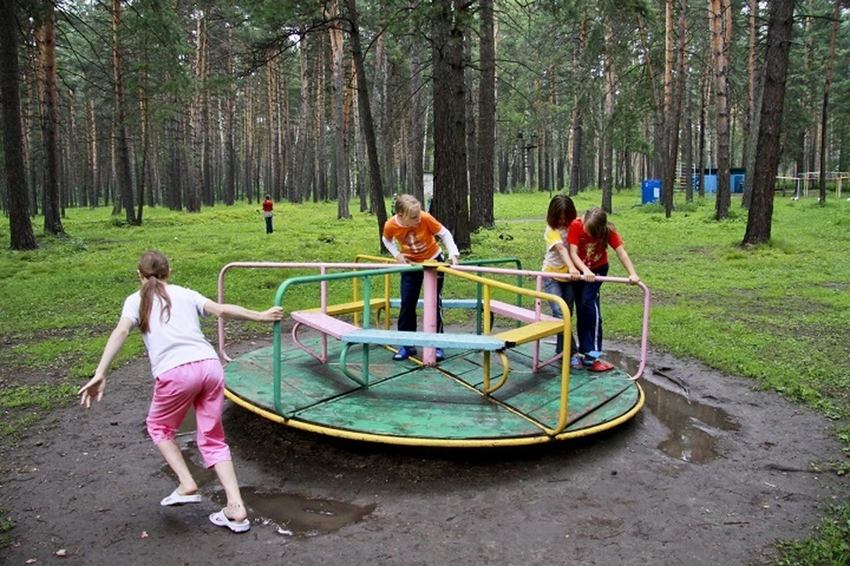 В Ярославле оштрафовали организатора нелегального лагеря.