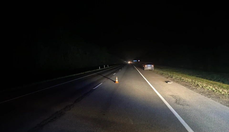 Фото: Управление Госавтоинспекции Орловской области